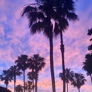 Meet your Posher, Lizeth